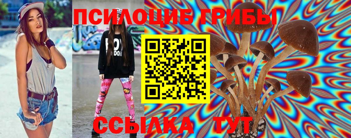 Псилоцибиновые грибы Magic Shrooms  Вход с VPN  Нижний Тагил  Галлюциногенные грибы GOLDEN TEACHER 